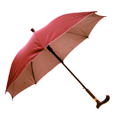 傘帶刺繡骨 Umbrella rib